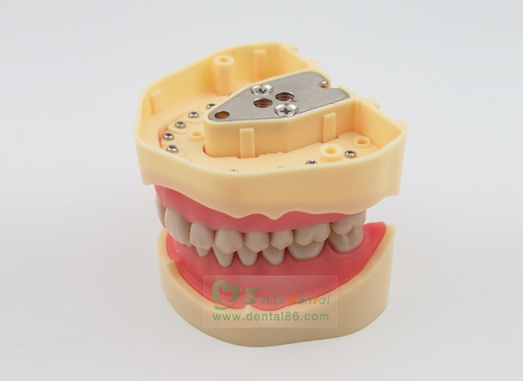 TM-A5-01 Standard Model, BF Style